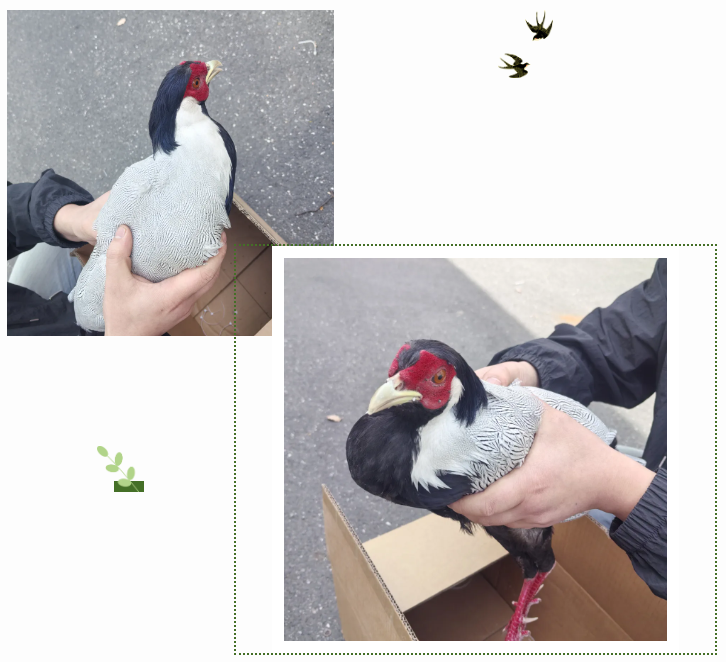 ������������ͬ�ػ���Ȼ����