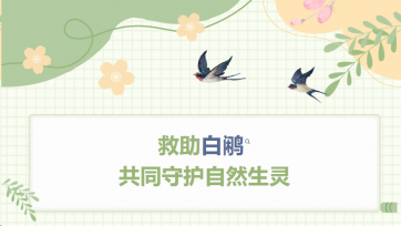 ������������ͬ�ػ���Ȼ����